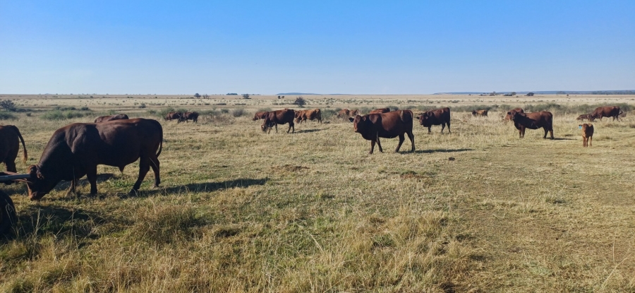 3 Bedroom Property for Sale in Klerksdorp Rural North West